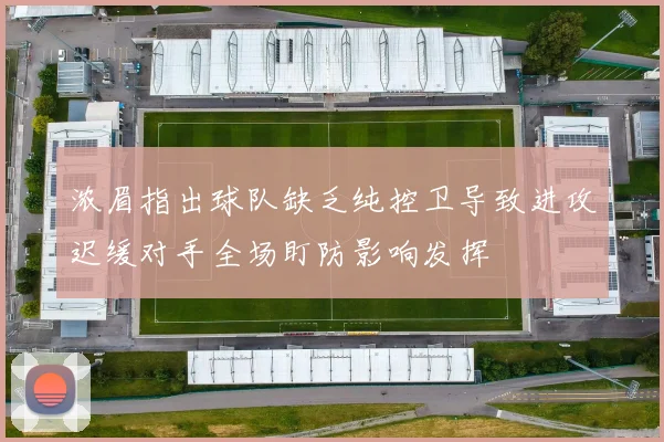 浓眉指出球队缺乏纯控卫导致进攻迟缓对手全场盯防影响发挥