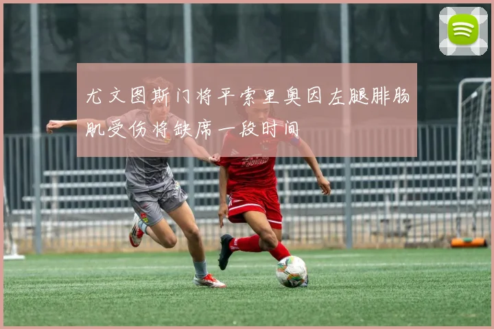 尤文图斯门将平索里奥因左腿腓肠肌受伤将缺席一段时间