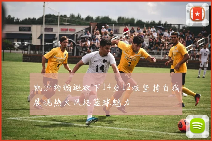 凯沙约翰逊砍下14分12板坚持自我展现热火风格篮球魅力