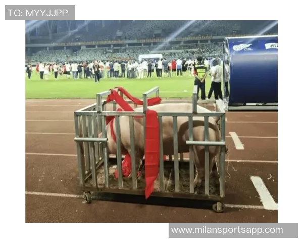 梅州五华县超冠军奖励肥猪寓意财富满满引发热议